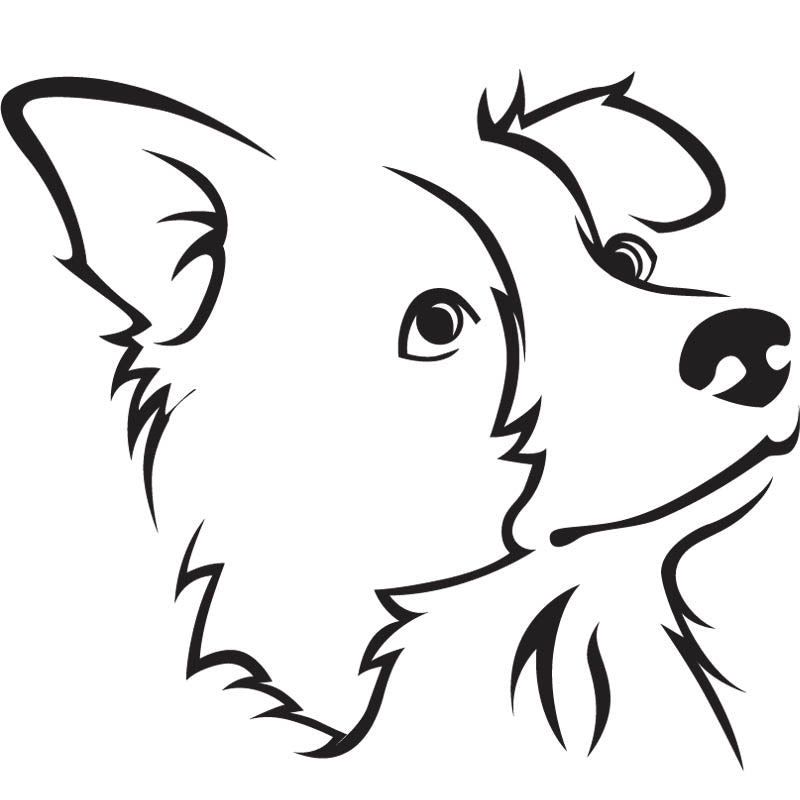 Black outline illustration of the head of a Border Collie