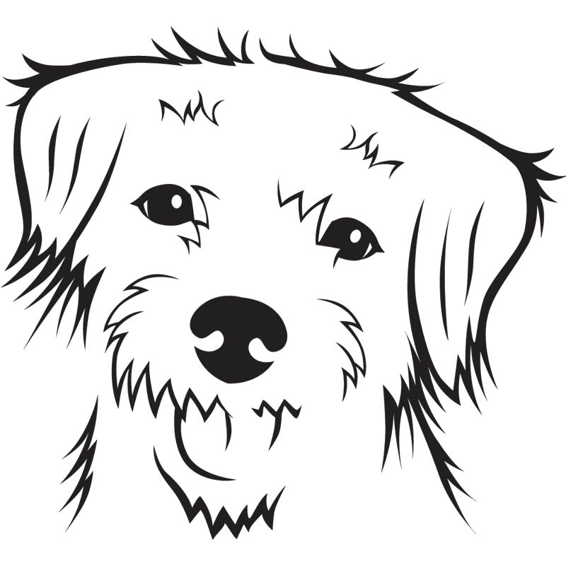 Black outline illustration of the head of a Border Terrier