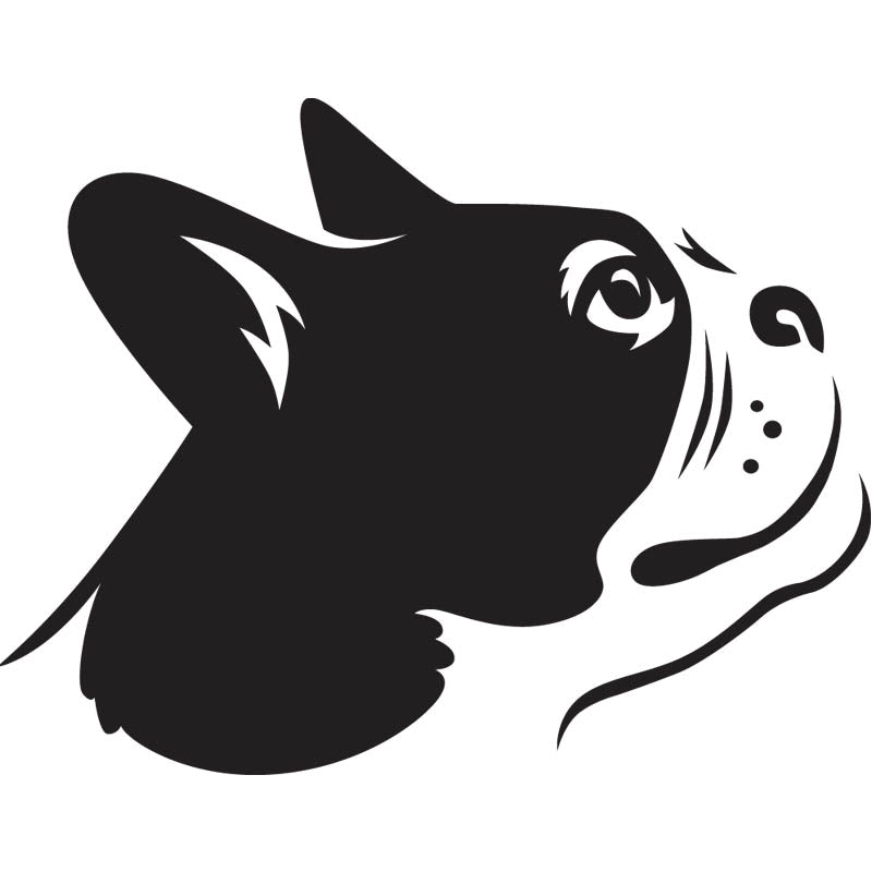 Black outline illustration of the head of a Boston Terrier