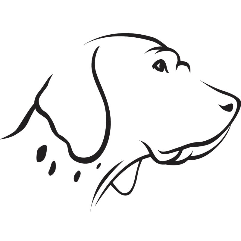 Black outline illustration of the head of a English Pointer