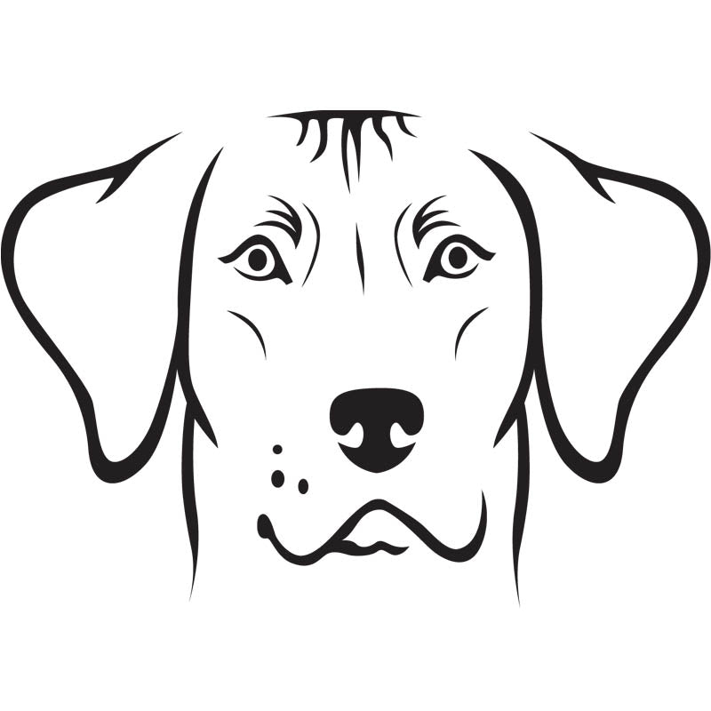 Black outline illustration of the head of a Rhodesian Ridgeback