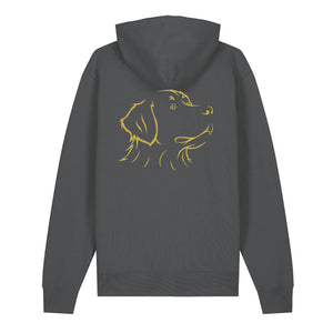 Gold outline illustration of the head of a Bernese Mountain Dog on the back of an anthracite grey unisex Hoodie