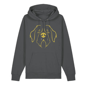 Gold outline illustration of the head of a Saint Bernard on the front of an anthracite grey unisex Hoodie