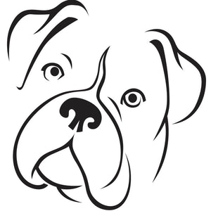 Minimalist black illustration of a Boxer on a white background