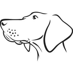 Minimalist black illustration of a Hungarian Vizsla on a white background