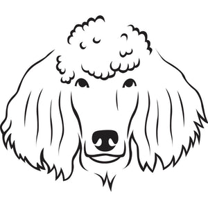 Minimalist black illustration of a Poodle on a white background
