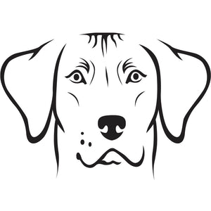 Minimalist black illustration of a Rhodesian Ridgeback on a white background